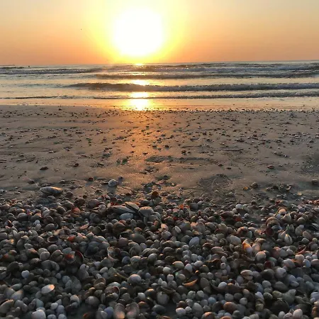 Sim Seaside T2 Năvodari